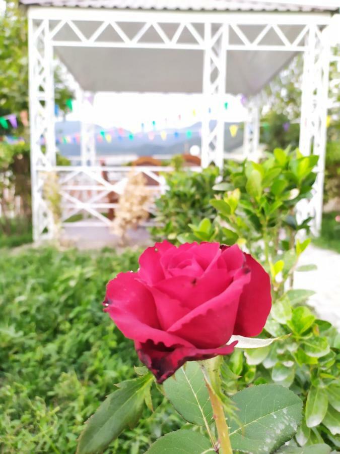 Bliss Inn Boutique Hotel גאלבה מראה חיצוני תמונה