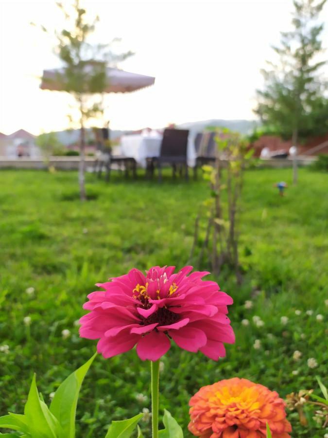 Bliss Inn Boutique Hotel גאלבה מראה חיצוני תמונה